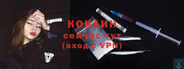 стафф Арсеньев