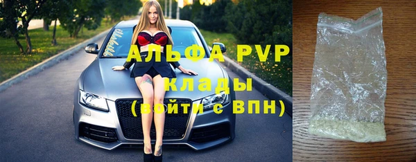 индика Аркадак