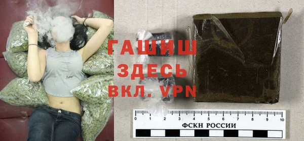 индика Аркадак