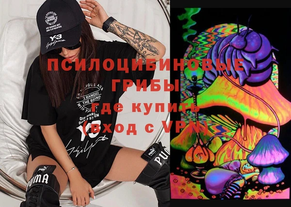 стаф Балахна