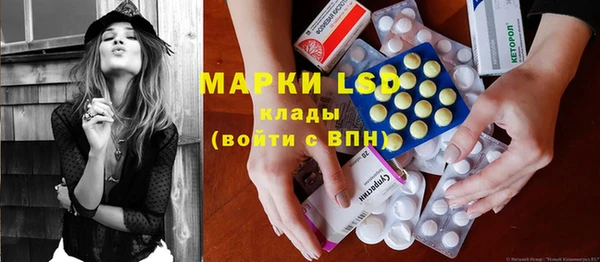 индика Аркадак